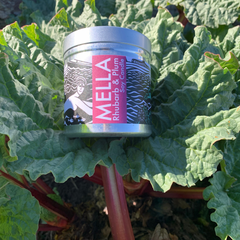 Mella Soy Candle - Rhubarb and Plum (available in two sizes)