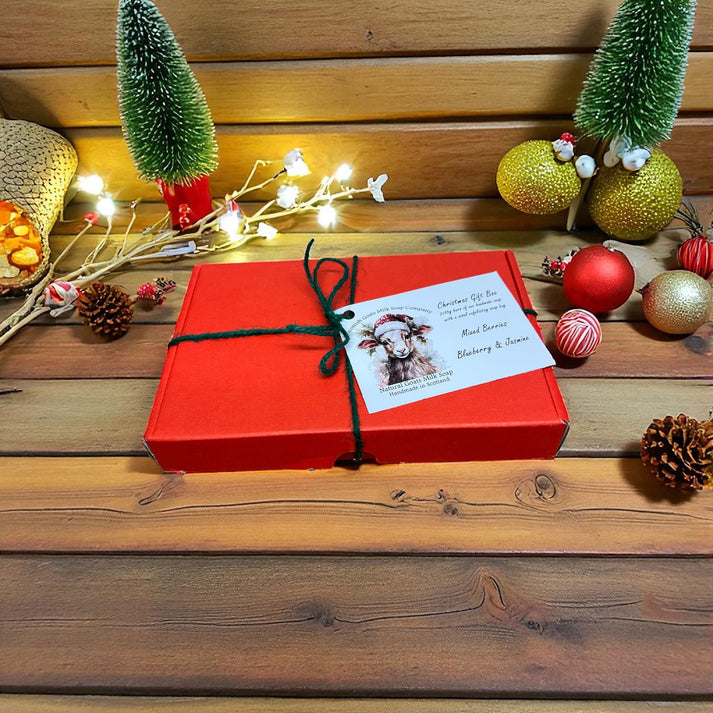 Goats Milk Soap Christmas 2 Bar Gift Set - different scents available