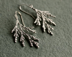 Conifer Silver Earrings