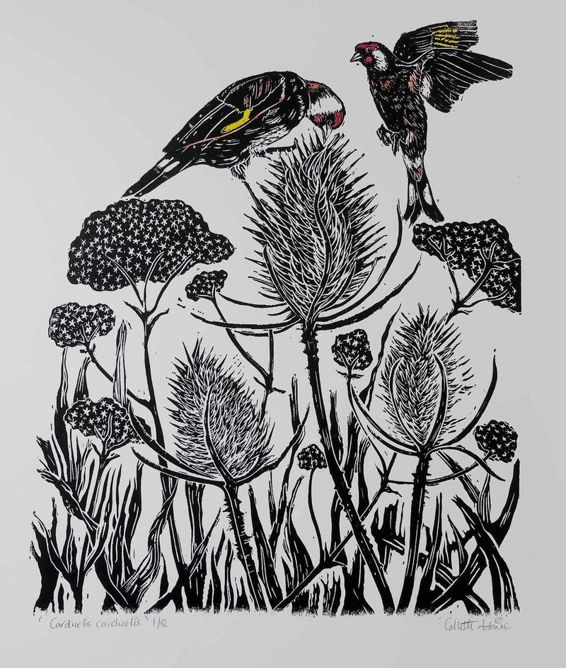 'Carduelis Carduelis' Goldfinch limited edition lino print