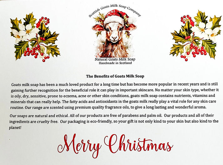Goats Milk Soap Christmas 2 Bar Gift Set - different scents available