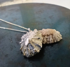 Sterling silver sand cast limpet shell necklace