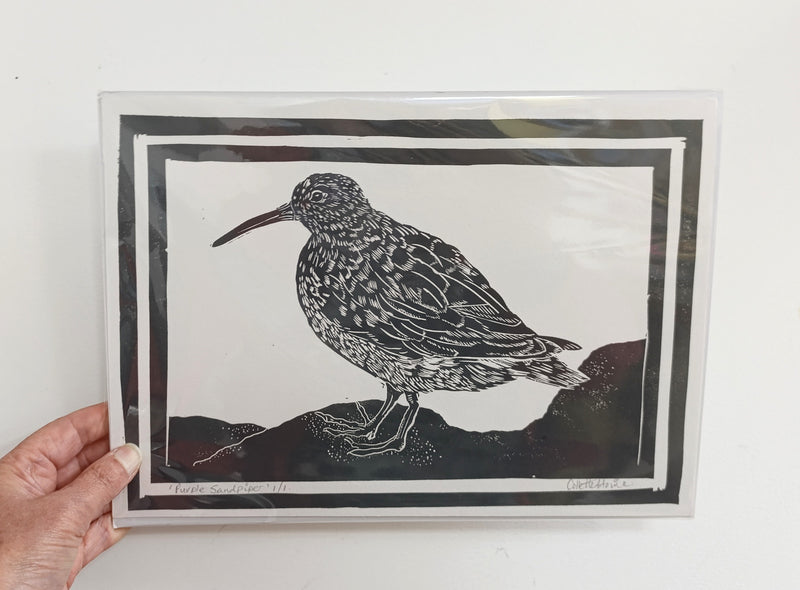 Purple Sandpiper original lino print