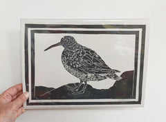 Purple Sandpiper original lino print