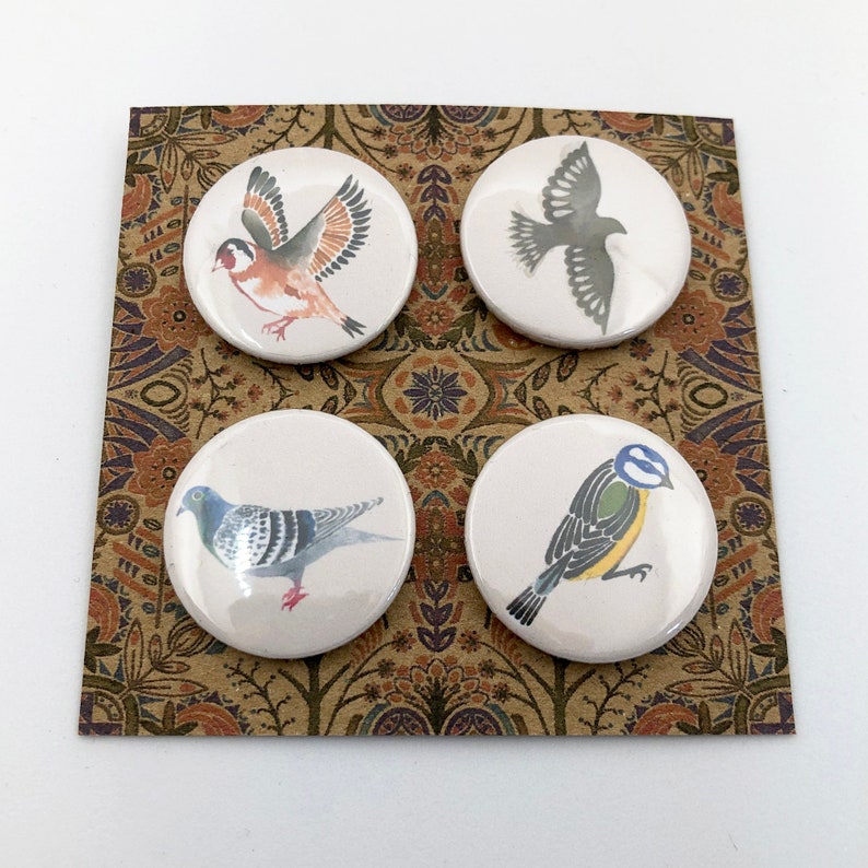 Set of 4 badges - Bird Species