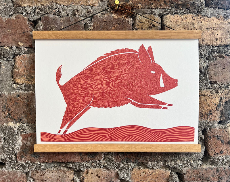 Caledonian Boar A3 Print