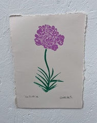 'Sea Thrift' open edition lino print
