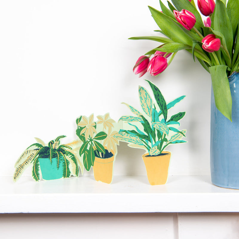 Plant pot greetings card