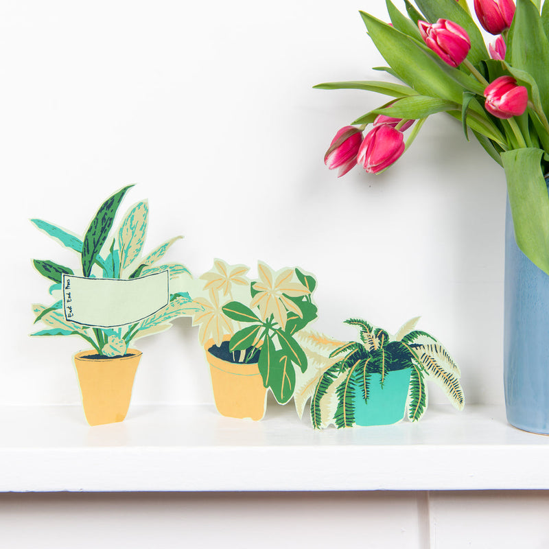 Plant pot greetings card