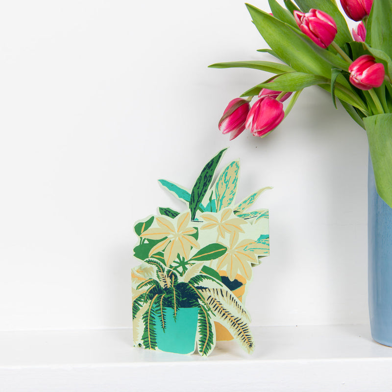 Plant pot greetings card
