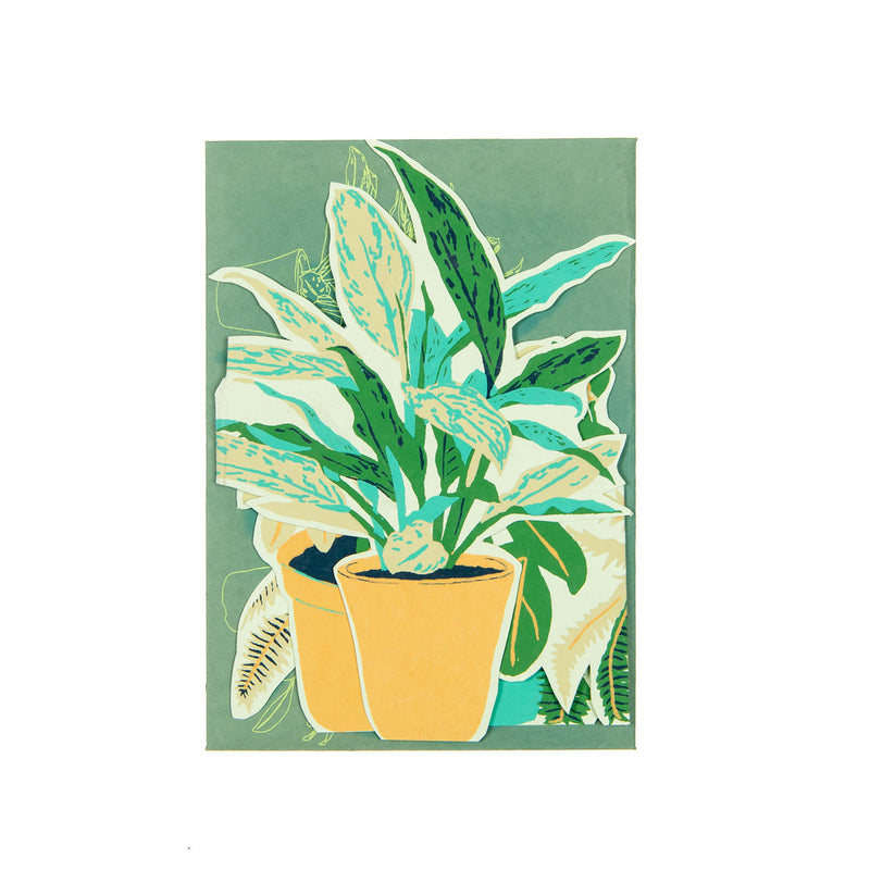 Plant pot greetings card