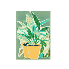 Plant pot greetings card