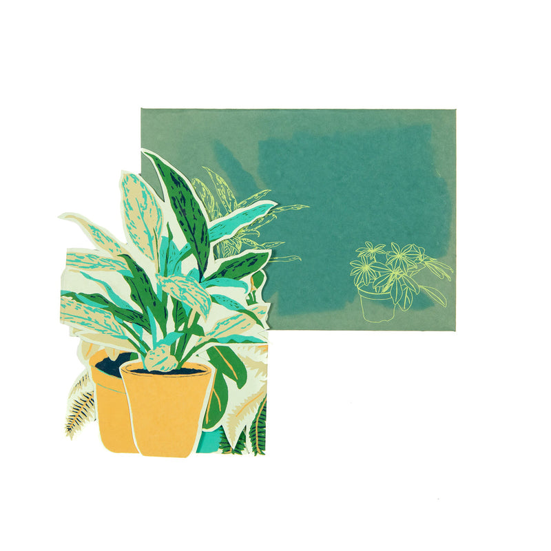 Plant pot greetings card