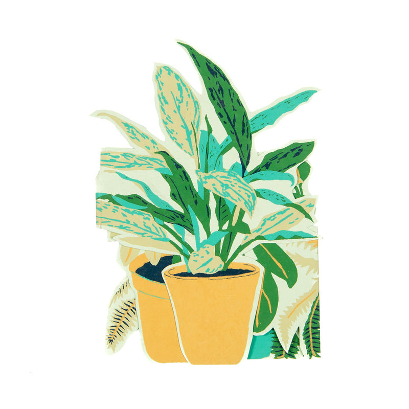 Plant pot greetings card