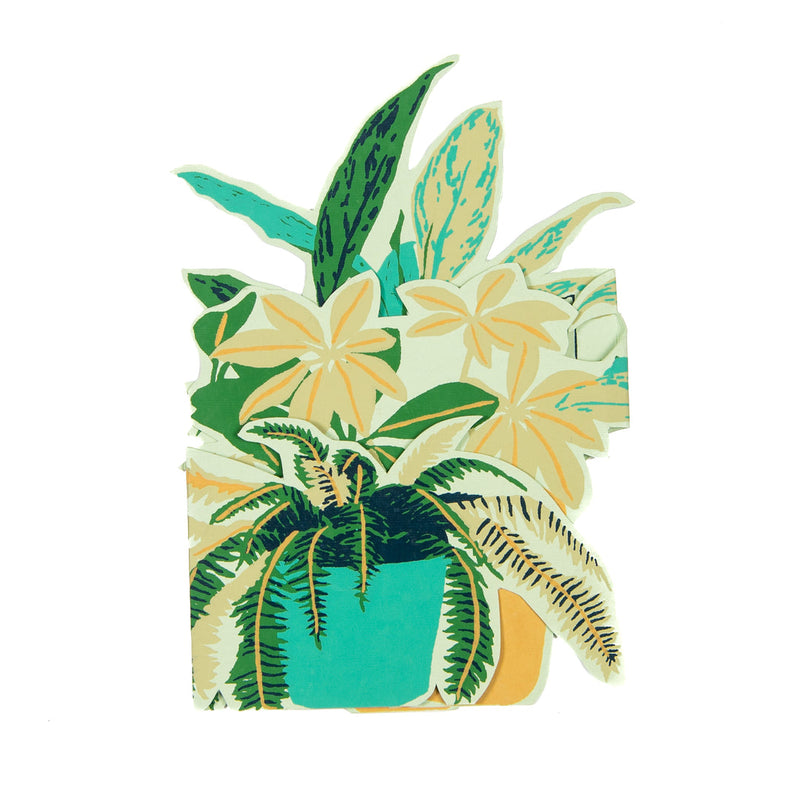 Plant pot greetings card