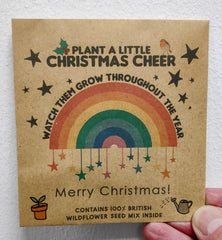Wild flower seed packet - Plant a Little Christmas Cheer