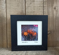 Mini framed print – Clementine