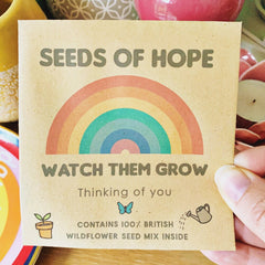 Wild flower seed packet - Seeds of Hope/Thinking of you