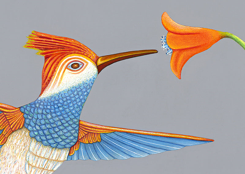 'Ginger-Tailed Bru-Bird' mounted print