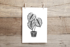 A4 Houseplant prints - 4 designs available