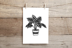 A4 Houseplant prints - 4 designs available