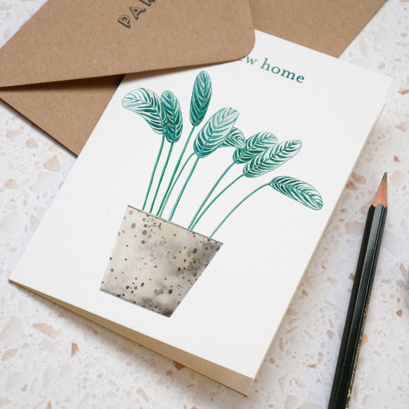New home pot plant card